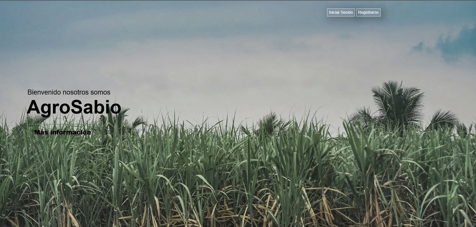 Plataforma AgroSabio